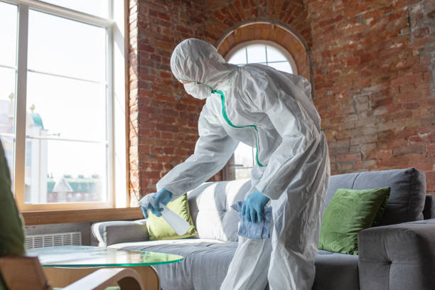 Mold Remediation for Vacation Homes in Dothan, AL